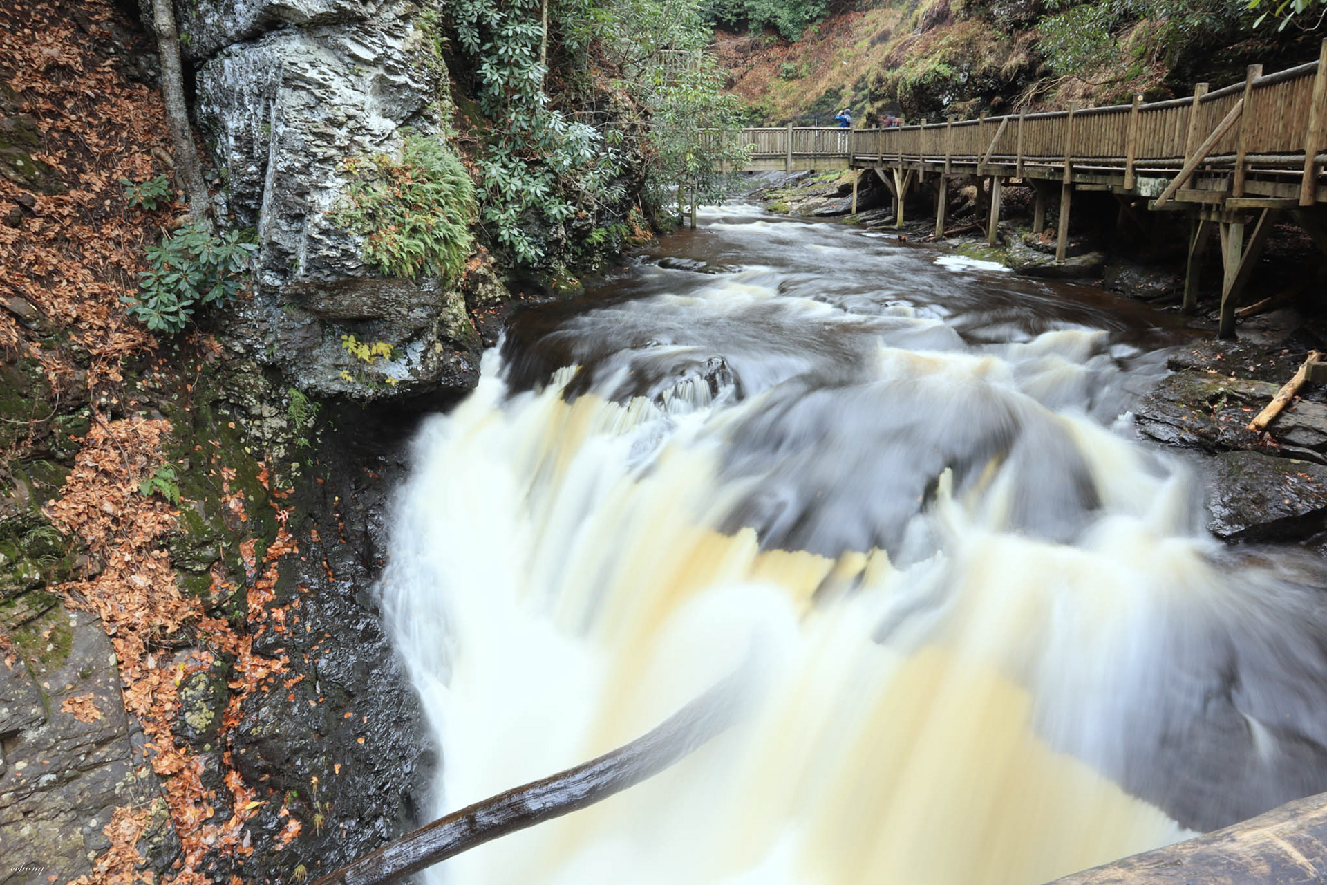 Bushkill Falls, PAJ #1