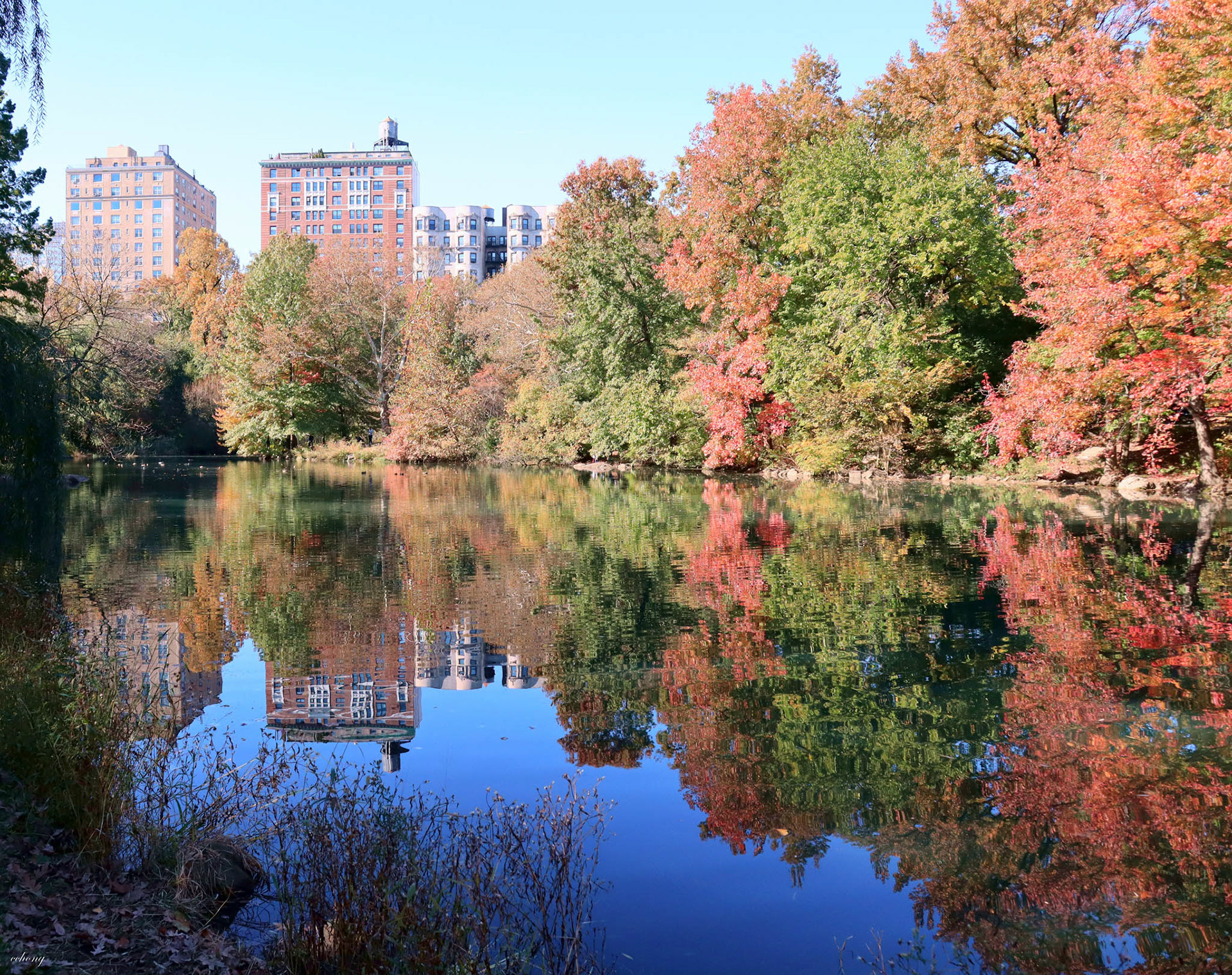 Central Park, NY #2