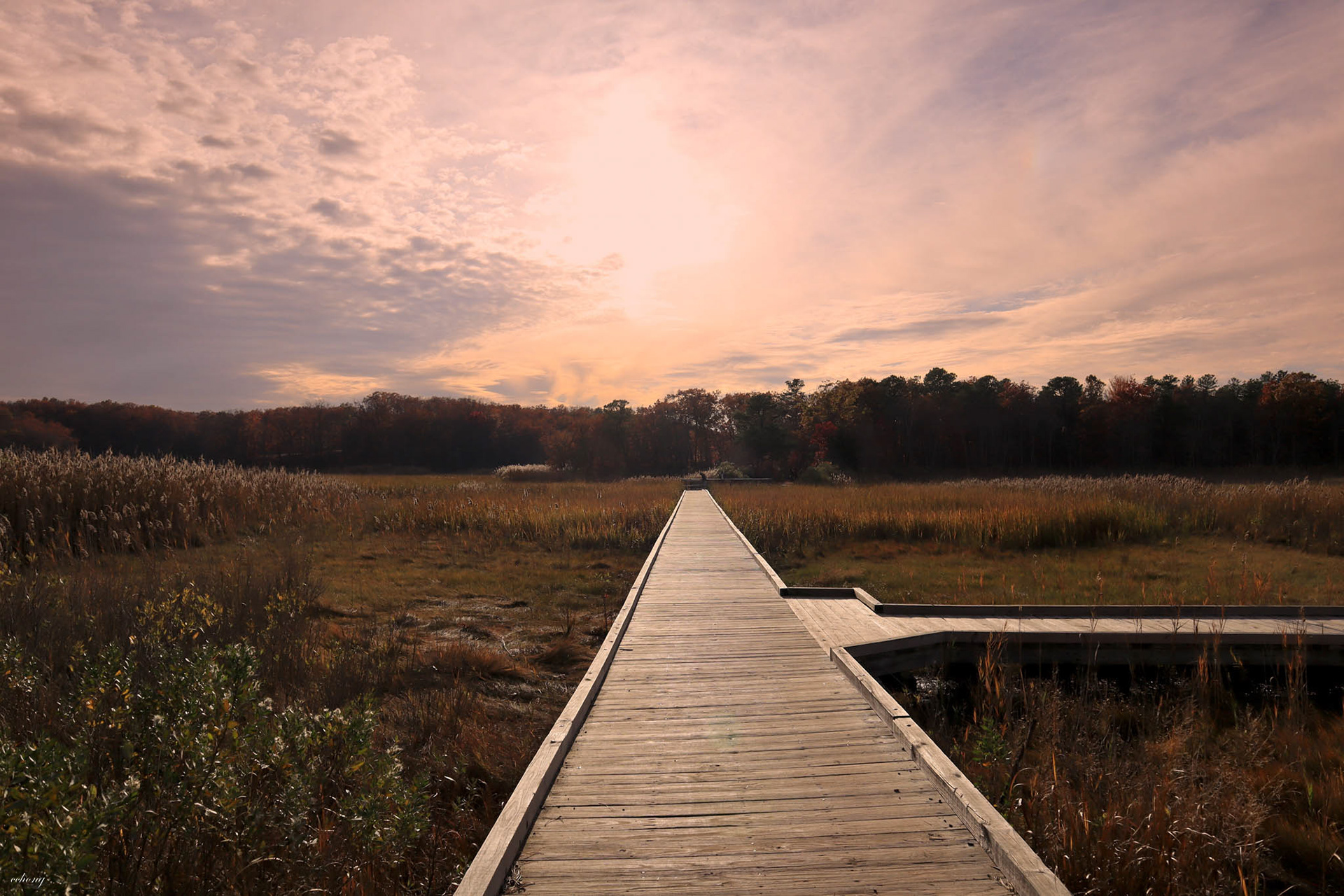 Cheesequake State Park, NJ
