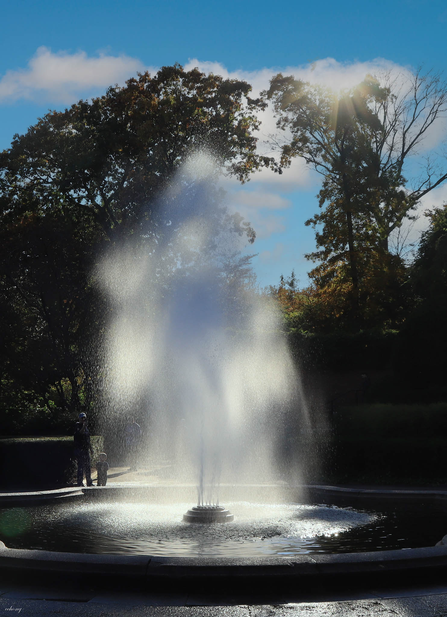 Central Park, NY #5