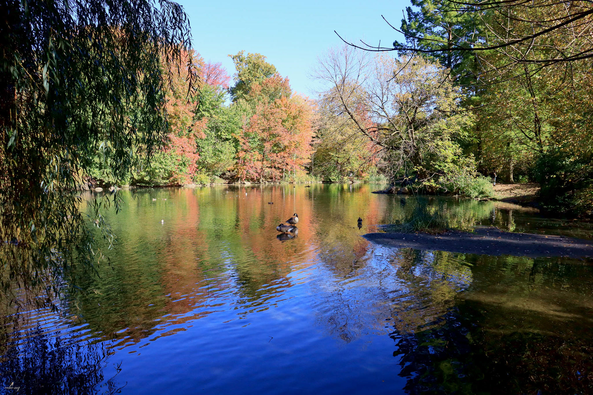 Central Park, NY #1