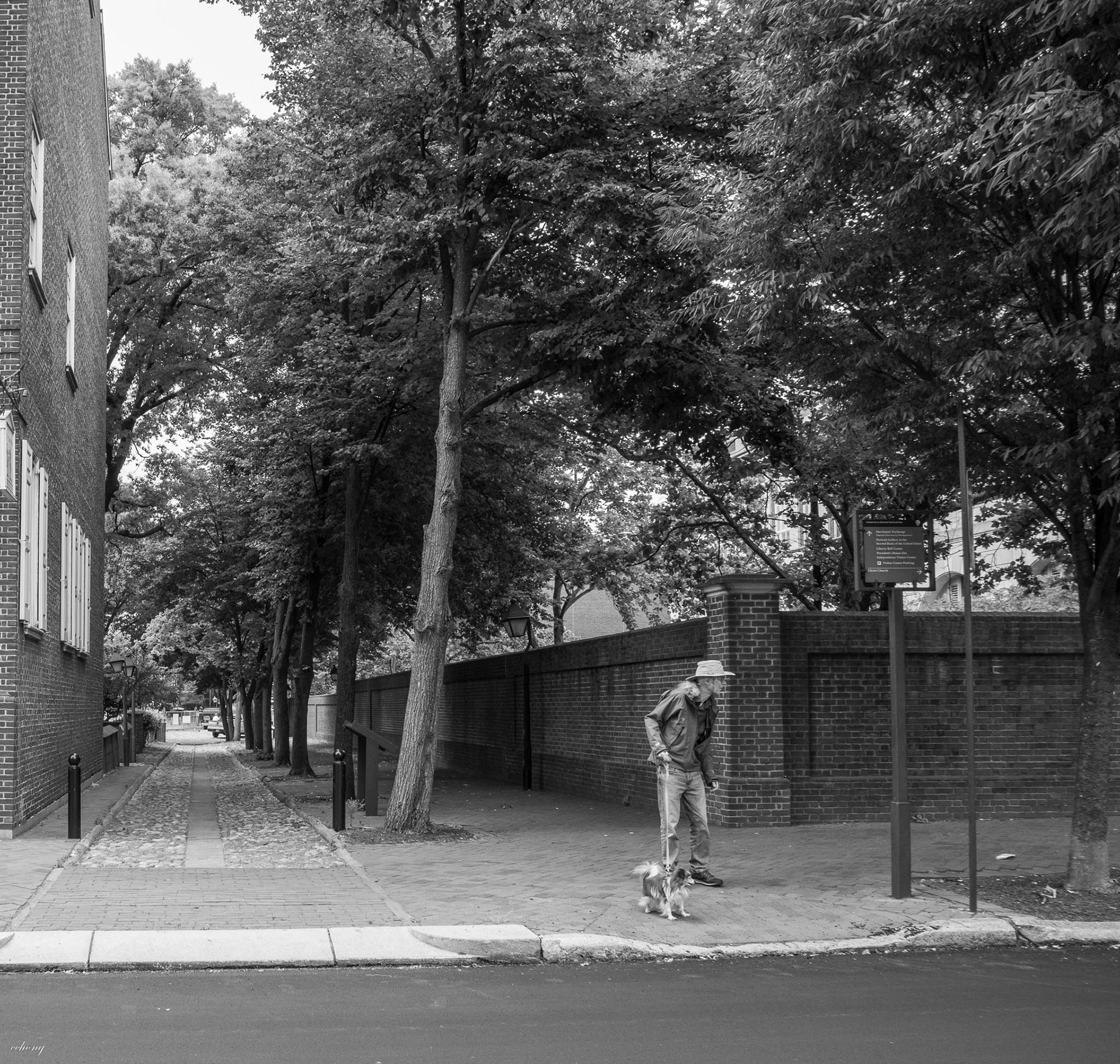 Philly #5