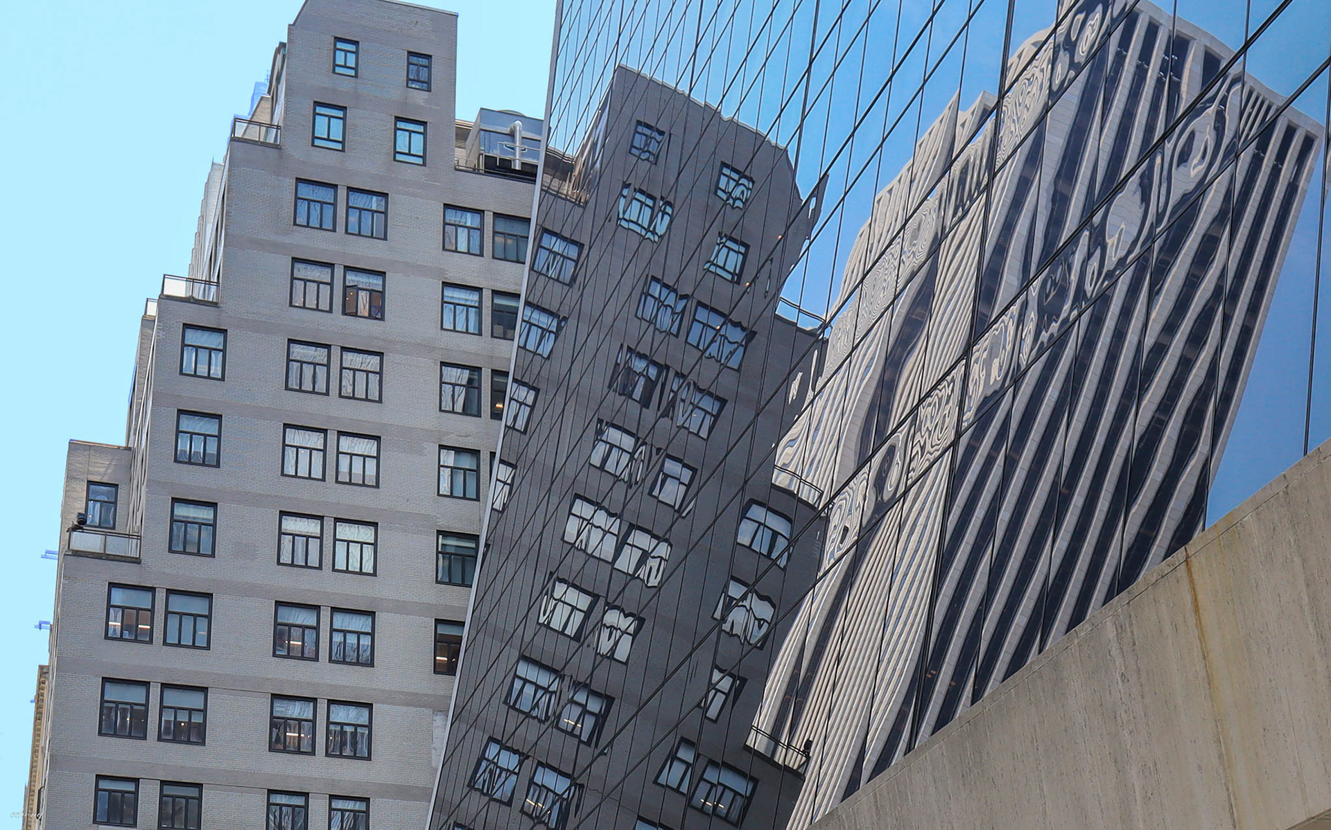 New York City #1