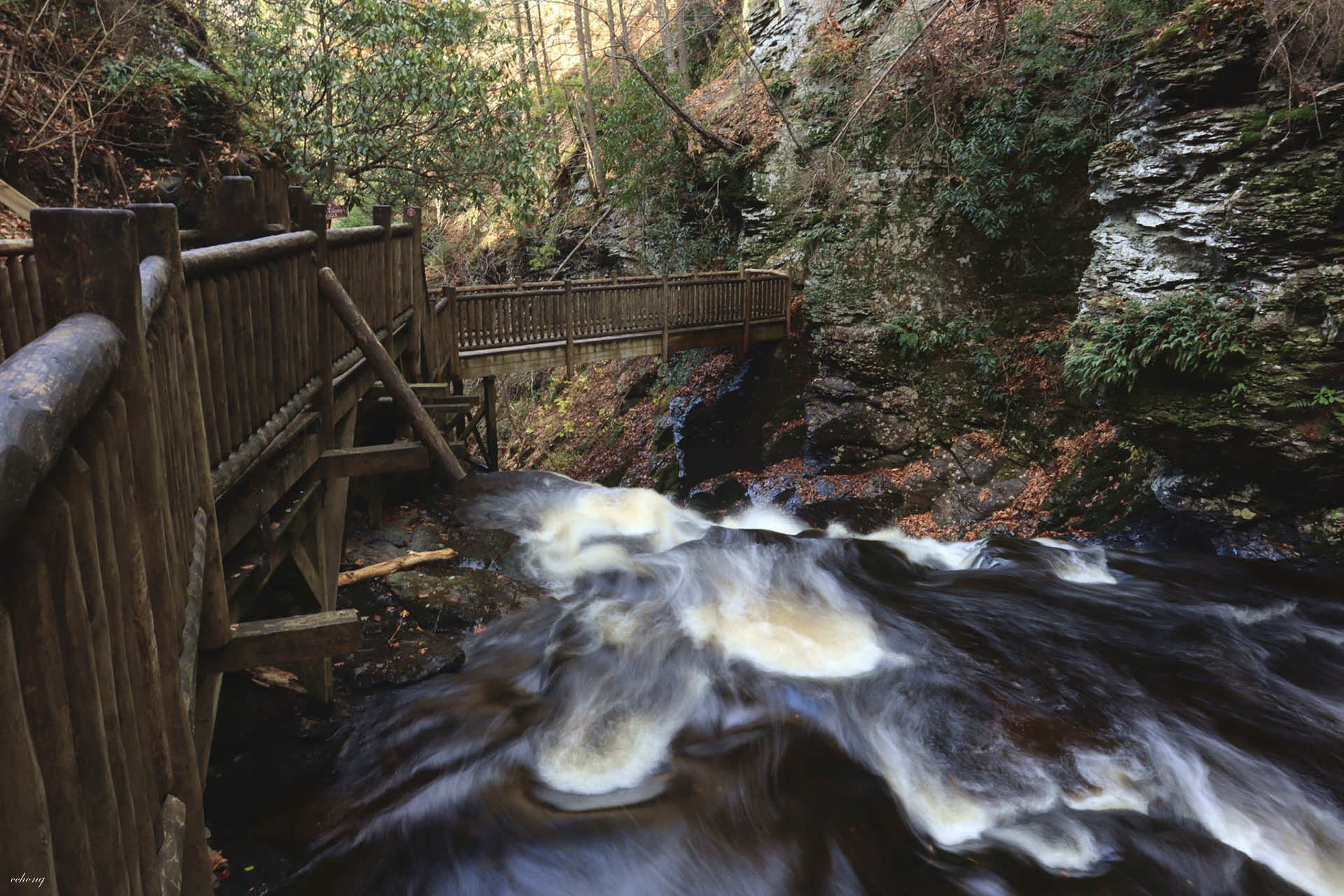Bushkill Falls, PA #2