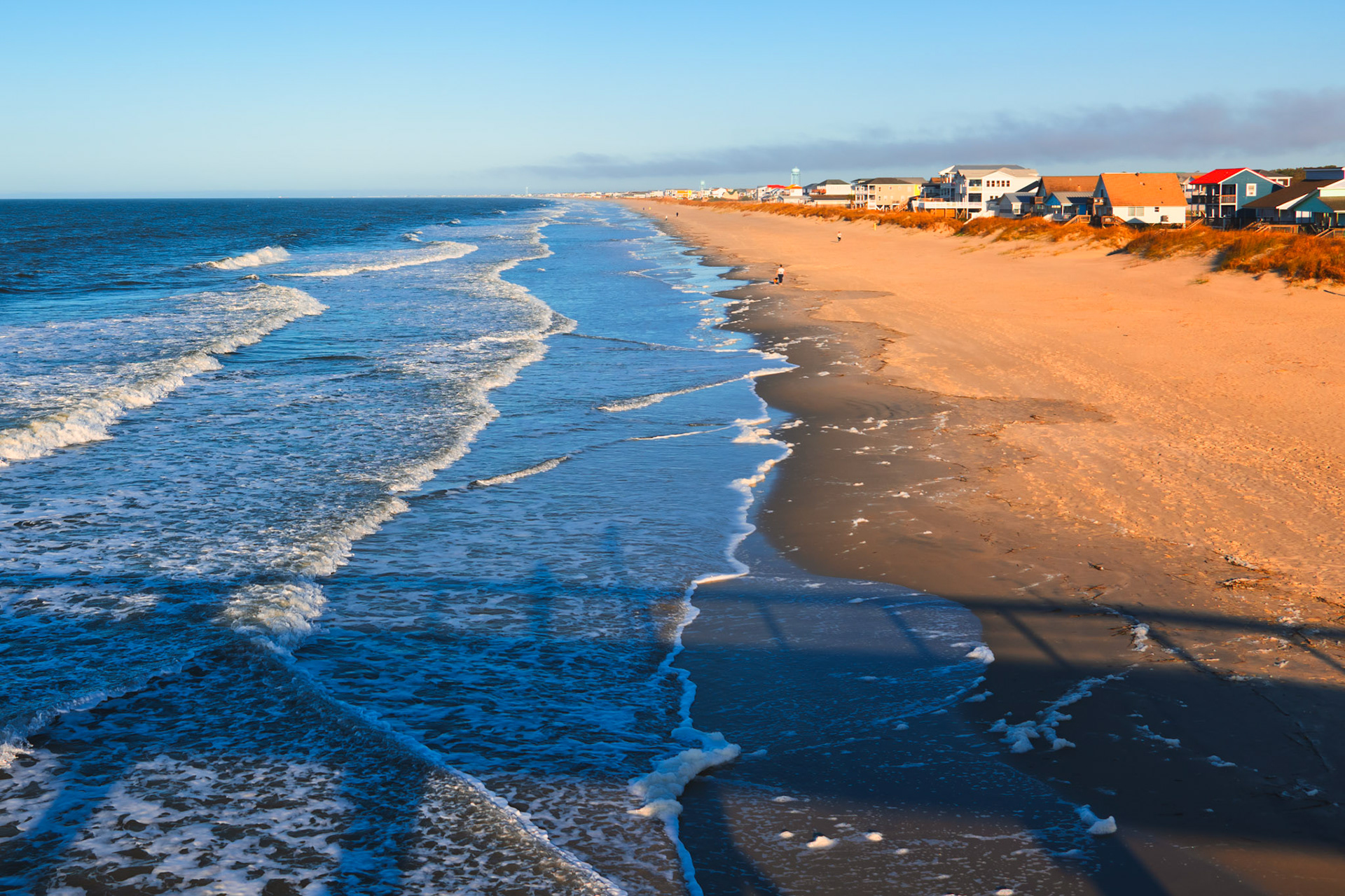 Accidental Self Portrait