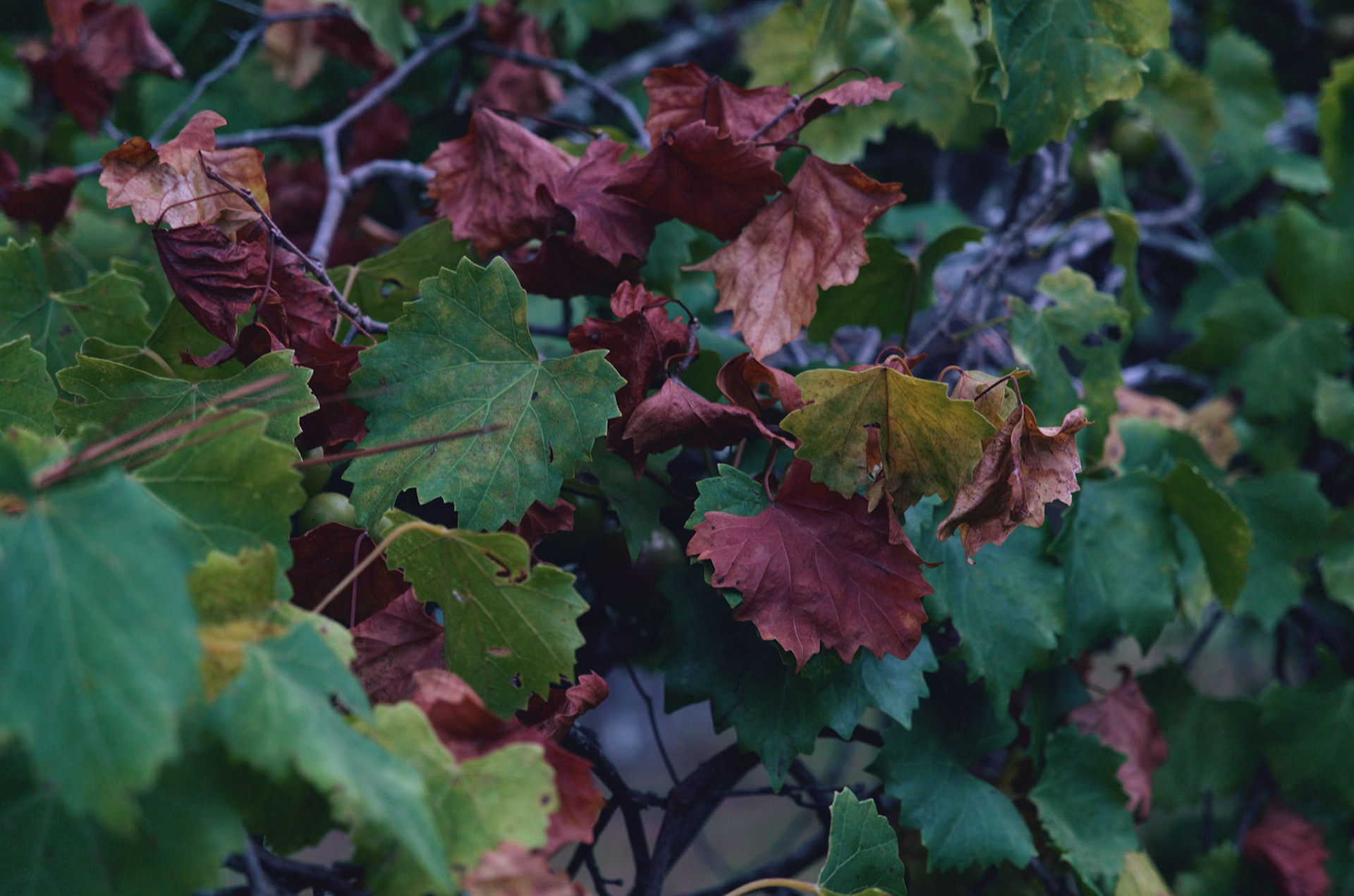 Processed with VSCO with m6 preset