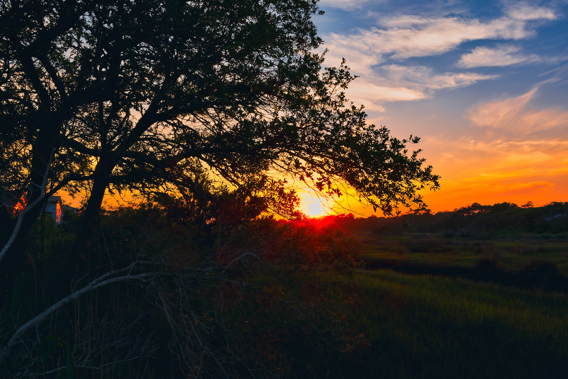 From the 20th Street