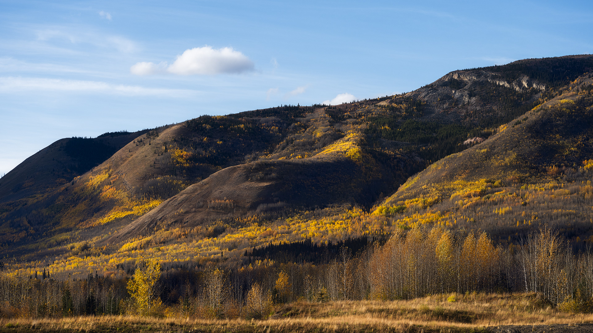 "Hills Of Gold"