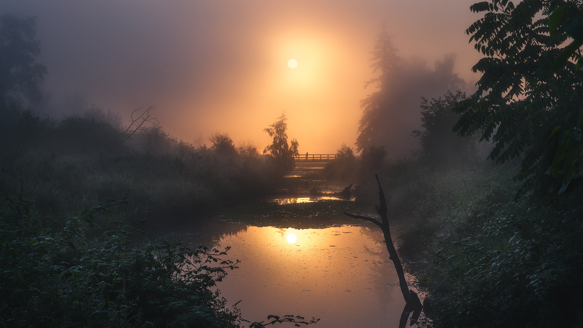 "Chance Encounter"