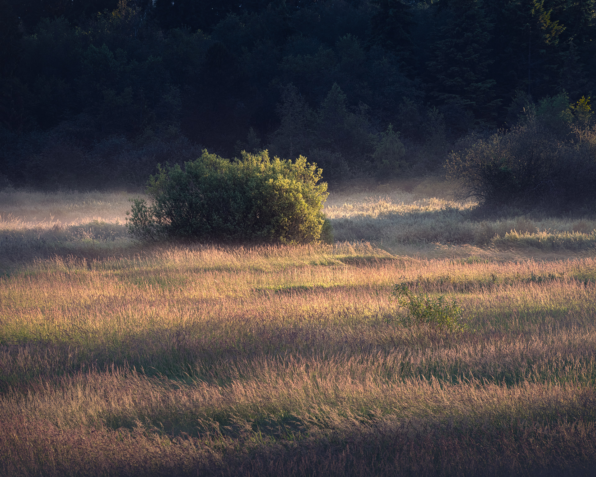 "The Valley"