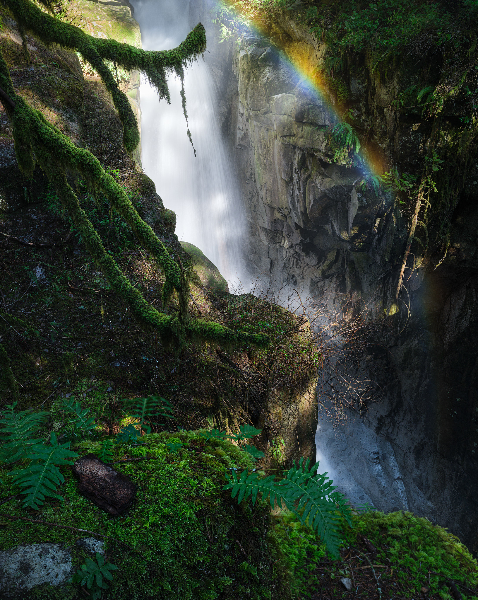 "Pot of Gold"
