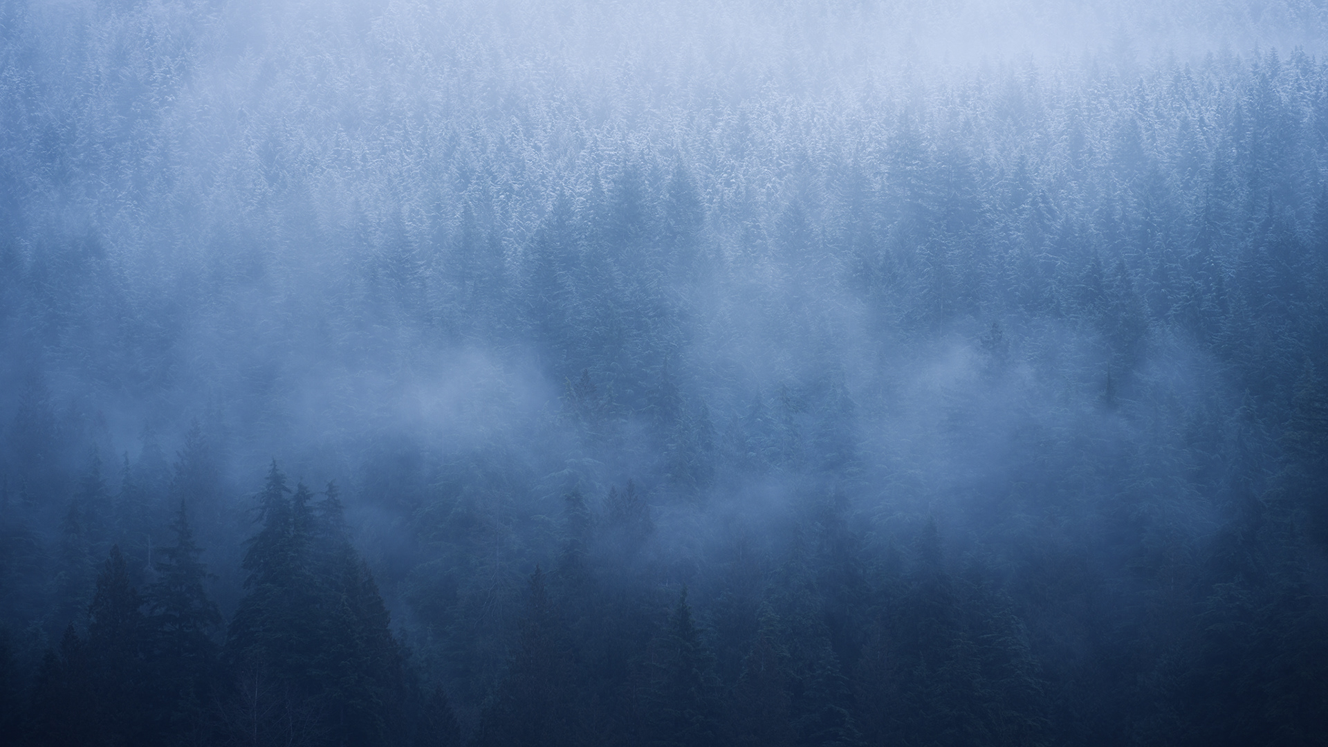 "Mists of Sasamat"
