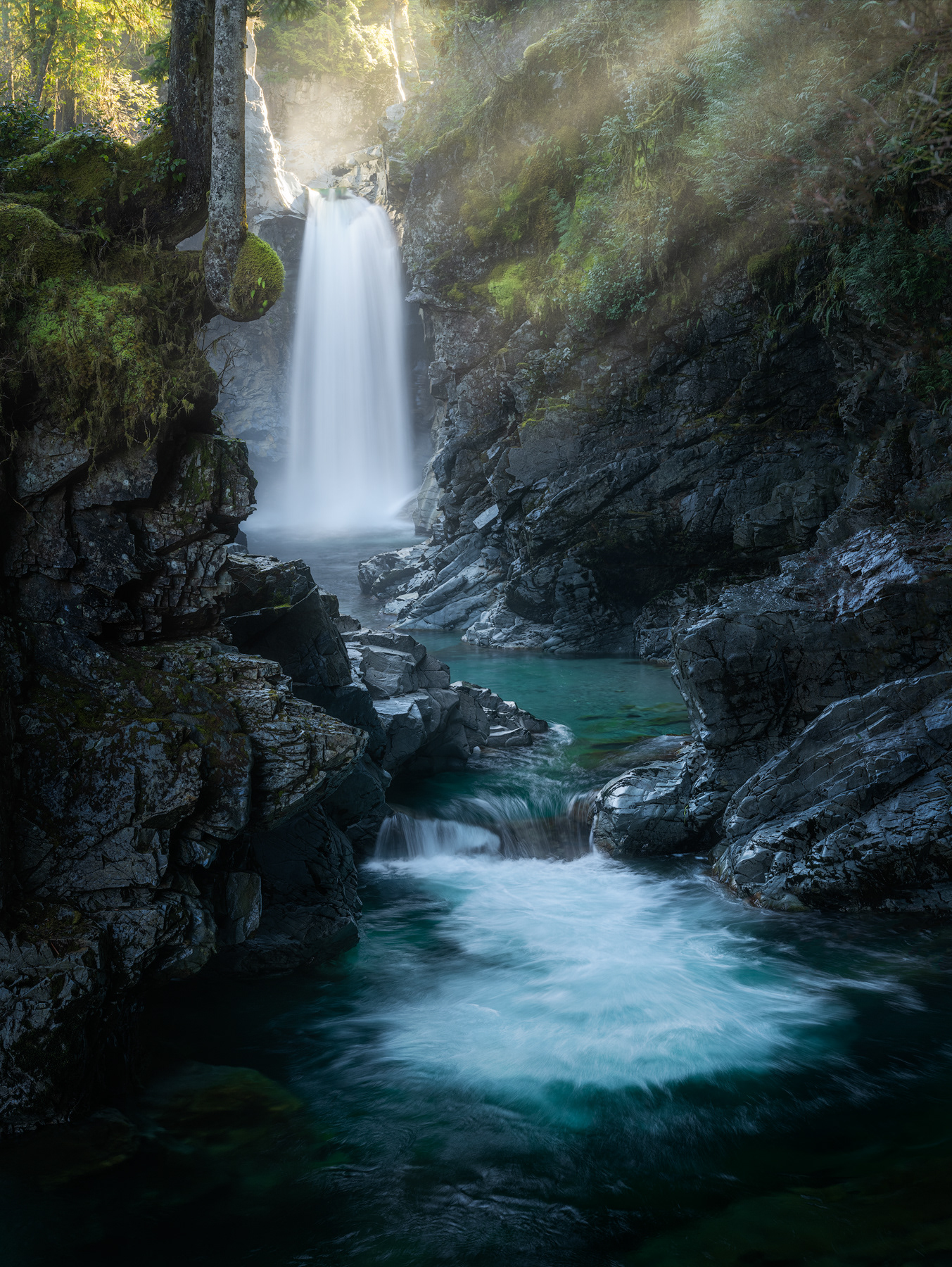 "Nature's Glory"