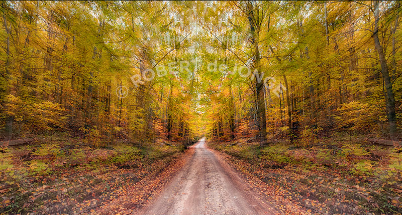 Moving down the autumn road near the Martin Basch Homestead. An impressionist view.