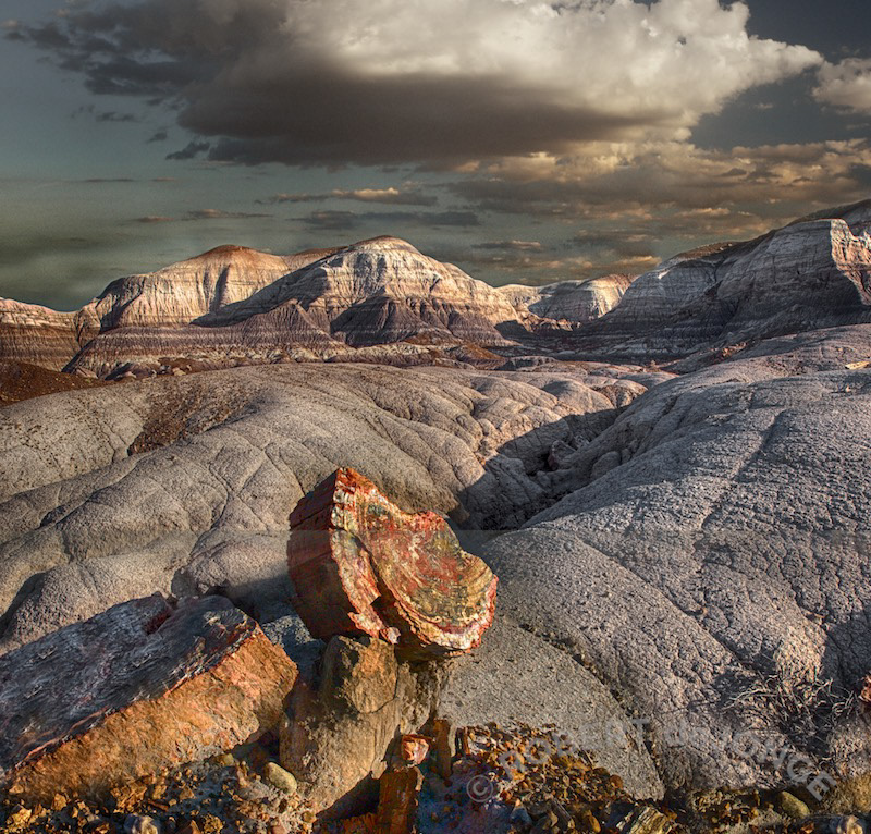 Petrified Forest National Park, Landscape, Arizona, morning, storm 