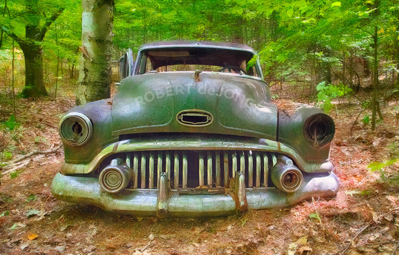 A 1952 Buick Automobile abandoned in the woods of Port Oneida — Sleeping Bear Dunes National Lakeshore. Front grill portrait
