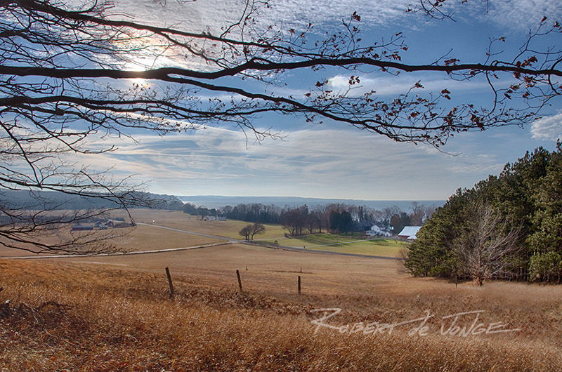 On a bluff in Port Oneida overlooking Sleeping Bear Bay  into the sun
