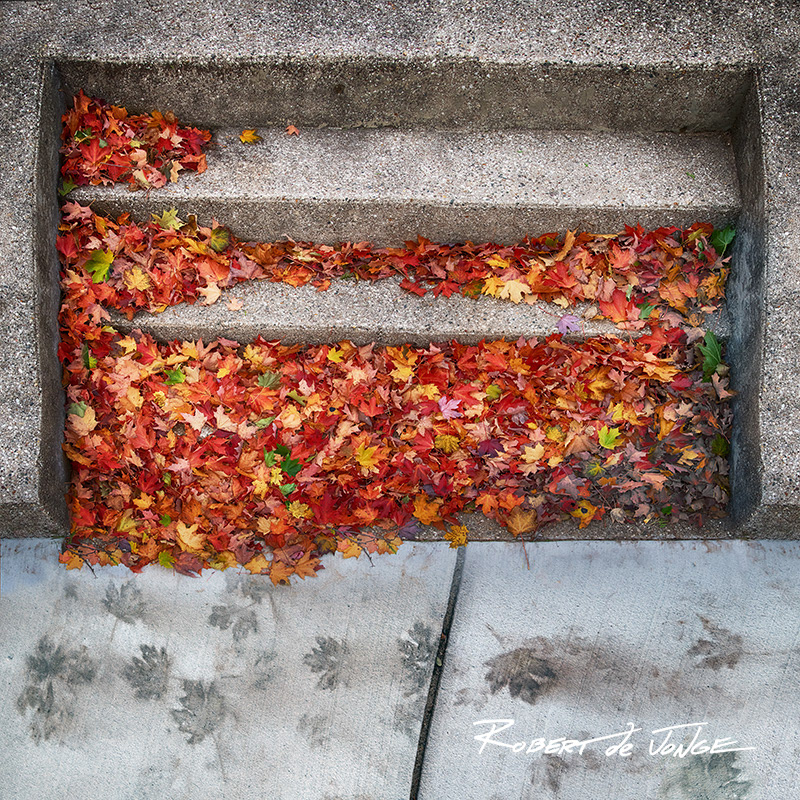 Autumn leaves gather on the steps of a walkway with stained cement