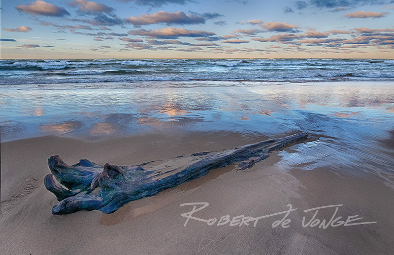 THe morning sky is reflected in the surf wash on a Lake Michigan beach. Driftwood interrupts the reflection