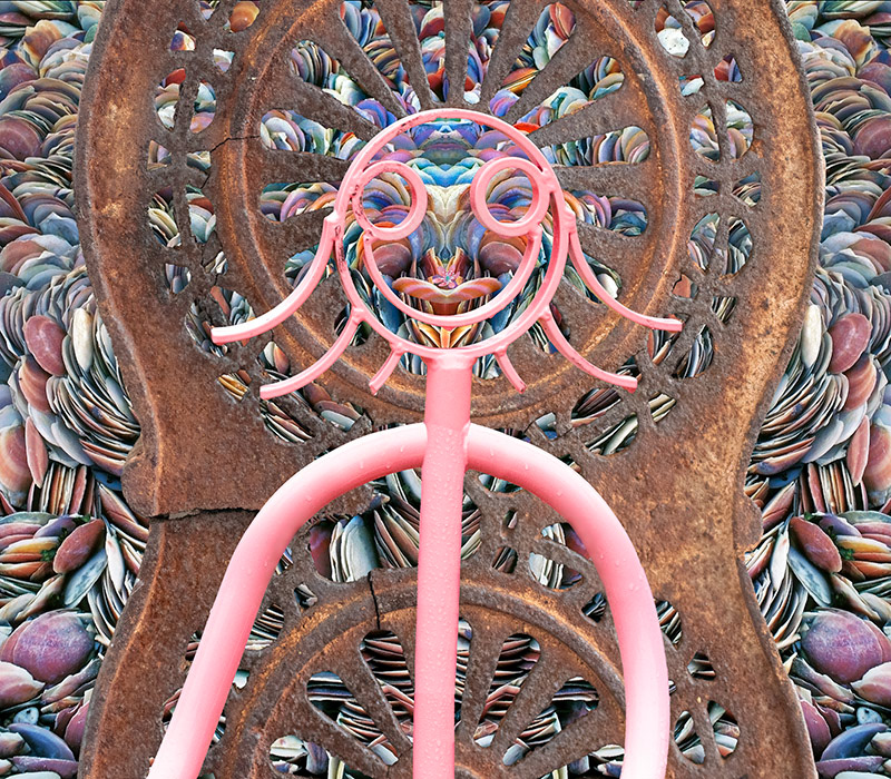 a collection of images from a New Brunswick Trip becomes a shrine. Scallop shells and rusted wrought iron and a welded tubular frame of a girl.