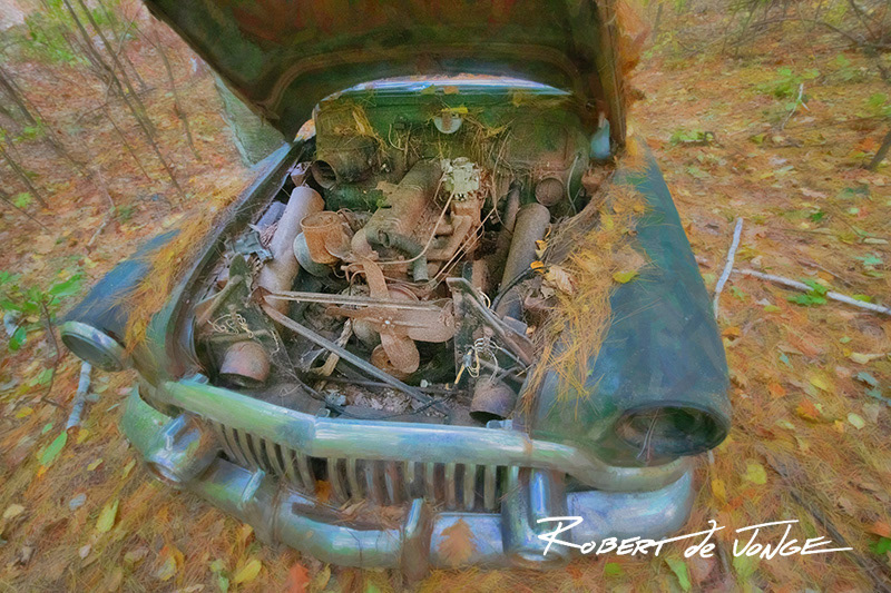 The open hood of a 1952 Buick in Port Oneida