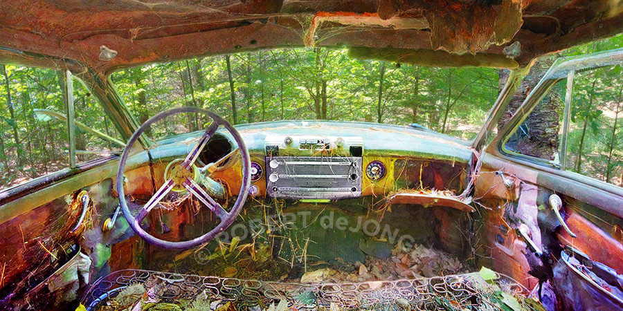 buick, interior, woods, junk, Port Oneida, automobile