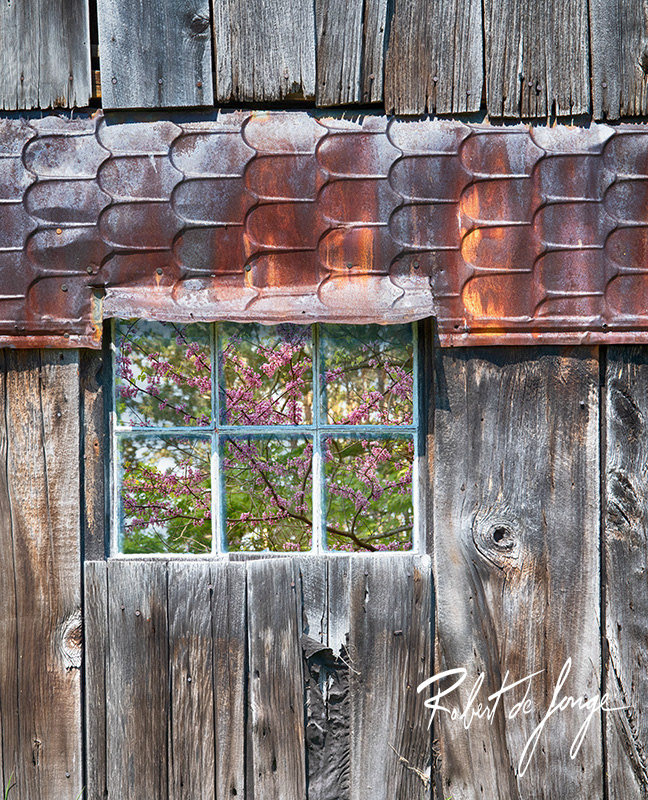 A Barn window reflecting the blossoming tree in the farmyard