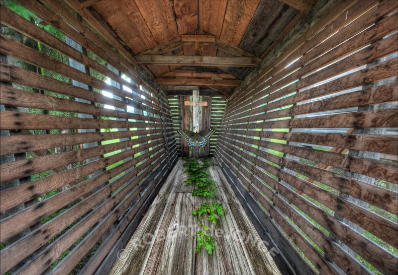 Combination of images formed from a corn Crib, butterfly and a vine in the Port Oneida Area of Sleeping Bear Dunes National Lakeshore