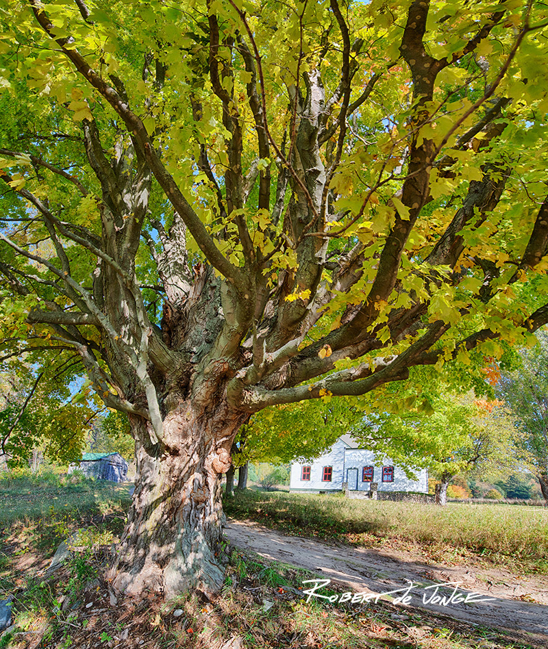 The Martin Basch Farm in Port Oneida — part of Sleeping Bear Dunes National Lakeshore