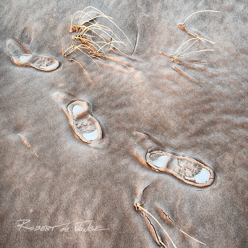 Footprints preserved by the snow and ice that were pressed into the sand on the dunes and that the wind outlined.