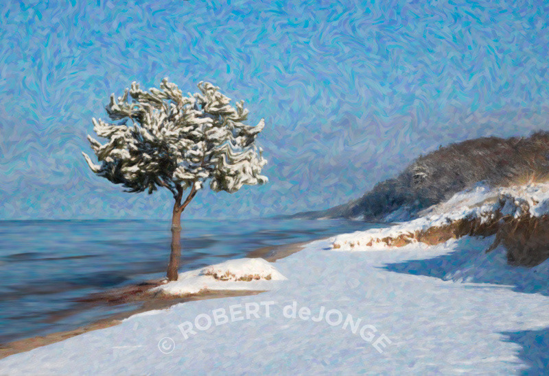 A fresh coat of snow on the shoreline and some fresh interpretations of the landscape