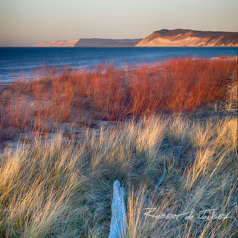 The beach on Platte Bay in November shows off the red willows