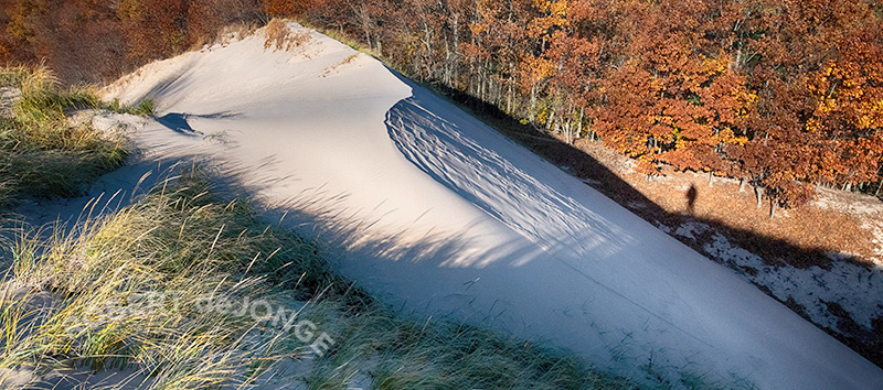 A late Autumn image of the top of a dune at Hoffmaster State Park. The sun, lower to the horizon, casts a shadow of the photographer and creates beautiful textures on the surface of the sand..