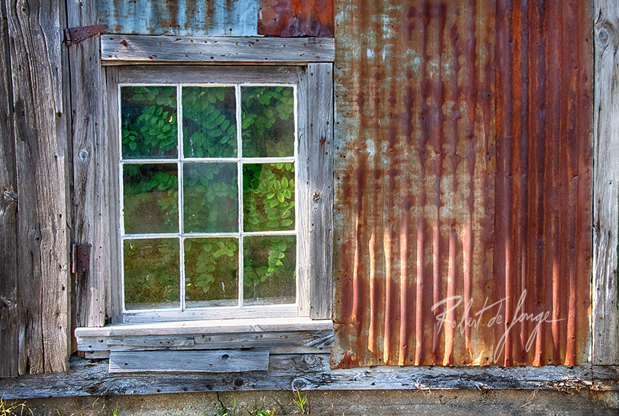 A window of an outbuilding that has a plant growing inside the shed • GreenhouseWindowOleson