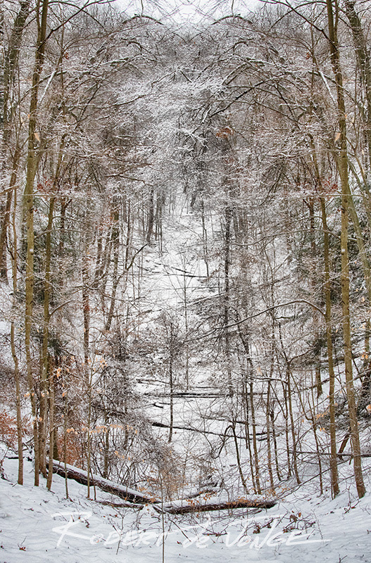 A Winter scene at Hoffmaster State Park