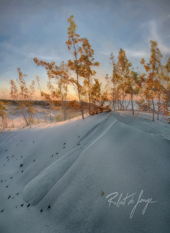 The sun sets behind buried poplars at Sleeping Bear Point