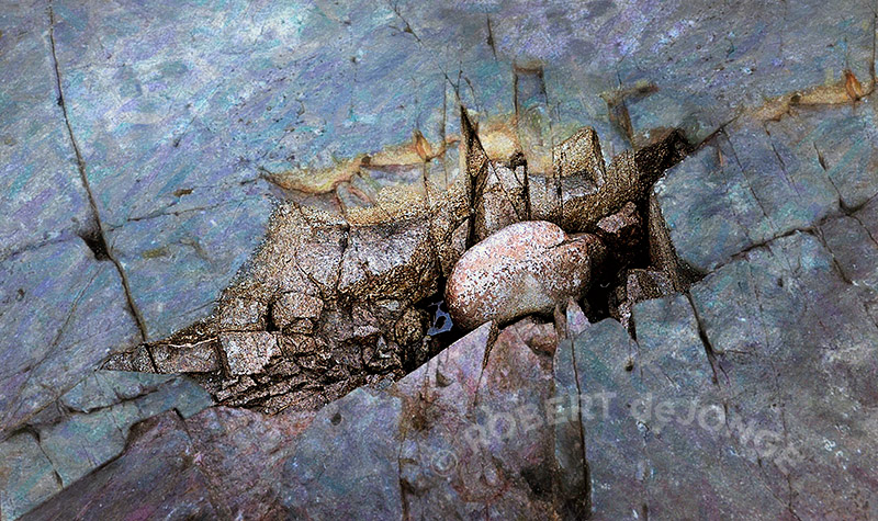 Rock, granite, cracked, Scoville point, Artist in residence, Grey day