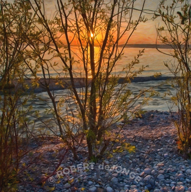 Creek, Stream, good Harbor Bay, flow, sunrise, sleeping bear dunesCreek, Stream, good Harbor Bay, flow, sunrise, sleeping bear dunes