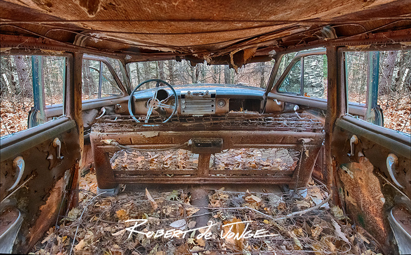 Wide Angle view from the backseat of a buick that was long abandoned in the woods in the Port Oneida District of Sleeping Bear