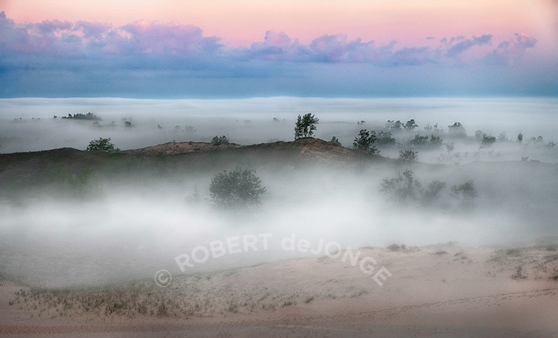 fog, morning, afterglow, Sleeping Bear Point, tree tops
