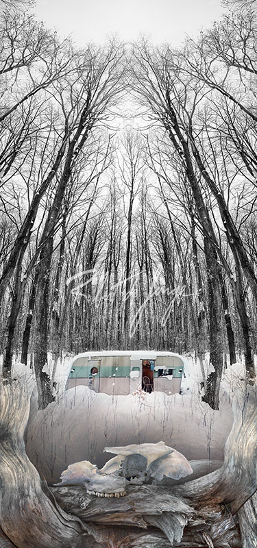 A deer skull rests beneath a vintage trailer being used as a deer blind