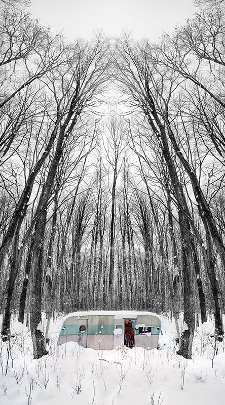 Deer camp, woods, winter, trailer, deer blind, black-and-white, Forest