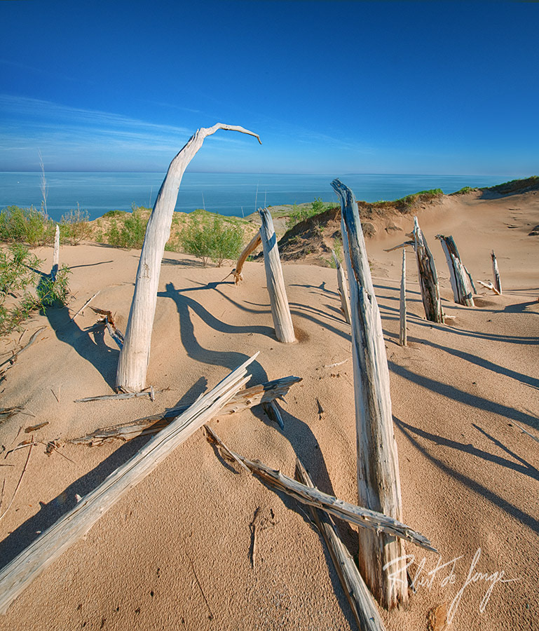 Ghost Forest trees along a ridge overlooking the Manitou Passage • HangGhostComplete6b.jpg