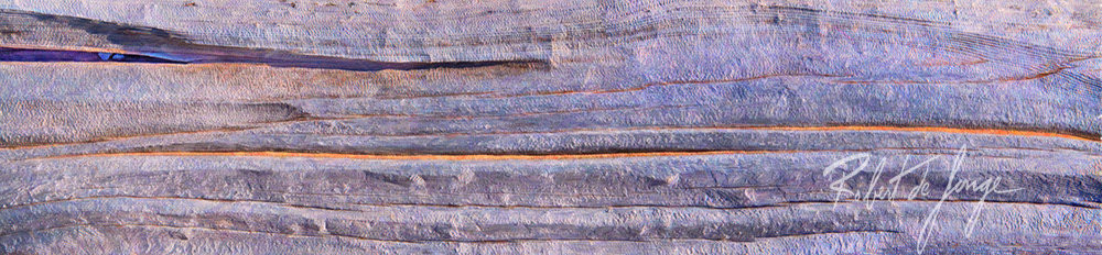 A log that is half buried in the sand shows its patina and texture