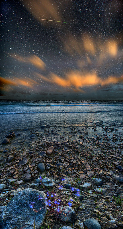 Headlands International Dark Sky Park, Windy, Lobelia, Clouds Motion, Meteor, Stars