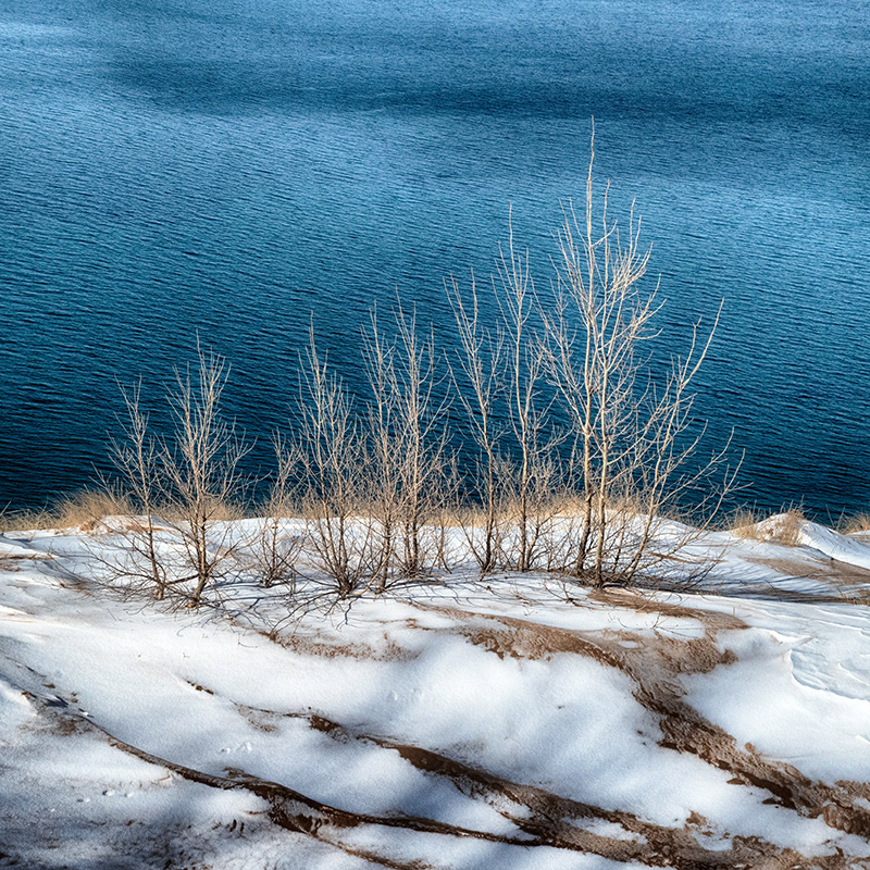 A winter image of a group of trees on the edge of the 400 foot bluff overlooking Lake Michigan — on the Pierce Stocking Scenic Drive