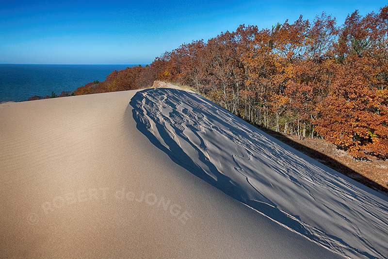 A late Autumn image from the top of a dune at Hoffmaster State Park. The sun, low on the horizon, enhances the textures of a sand slide on the back of a dune