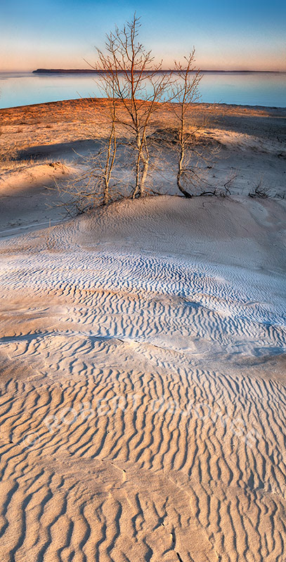Sleeping Bear Point, frost, Poplar Trees, morning, Manitou Islands