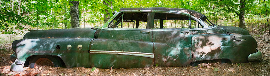 1952 Buick Straight 8 being reclaimed by the forest of Port Oneida
