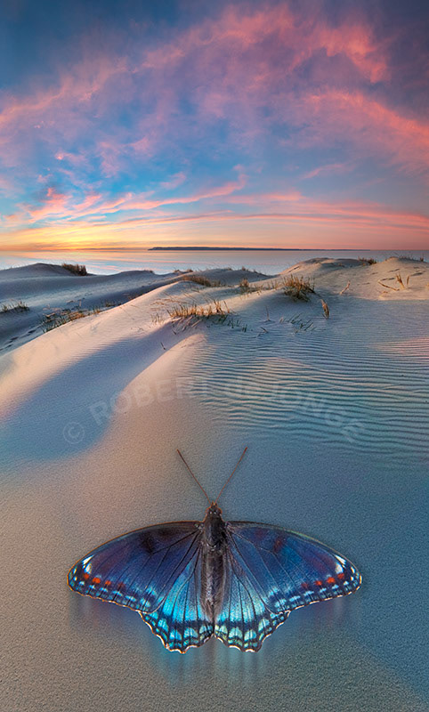 Religion, faith, sunrise, Christianity, dunes, butterfly, clouds, island, Sleeping Bear Dunes